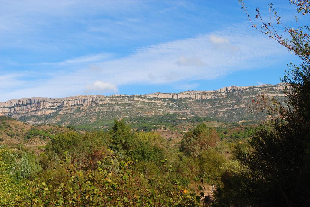 Masia El Riscle - Moli Del Pont ξενώνας Cornudella de Montsant Εξωτερικό φωτογραφία